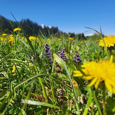 Sachserhof Ferienwohnungen In Sachsenburg Zewnętrze zdjęcie