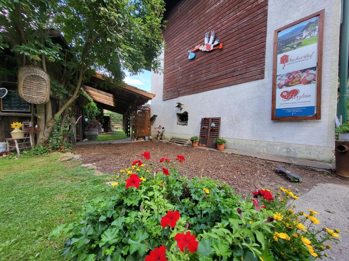 Sachserhof Ferienwohnungen In Sachsenburg Zewnętrze zdjęcie