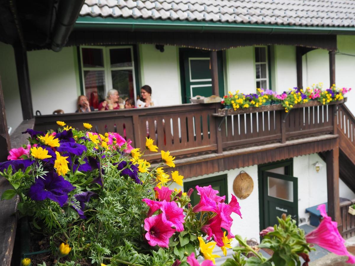 Sachserhof Ferienwohnungen In Sachsenburg Zewnętrze zdjęcie